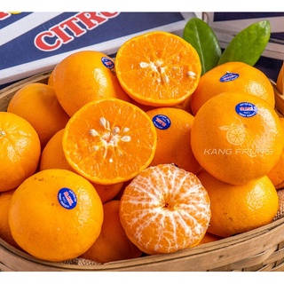 Quýt úc 2PH, APH nhập khẩu ( Giá 1kg) | Shopee Việt Nam