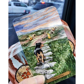 Bộ Bài Magical Dogs Tarot (Mystic House Tarot Shop) - Bài Gốc Authentic Chính Hãng 100%