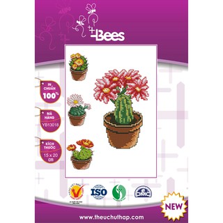 Bộ mẫu thêu chữ thập cây xương rồng