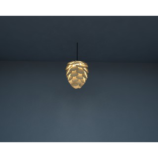 Đèn trang trí nội thất ,cửa hàng DIY 023