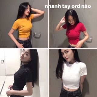 Áo croptop thun gân tay ngắn, áo croptop siêu xinh RUBY A62