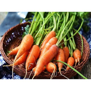 ⚡️ Đảm Bảo Mọc⚡️ Hạt Cà Rốt Chịu Nhiệt F1 Siêu Dễ Trồng