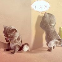 j48wlqe8zv_78wl9g3y3__qlu50i