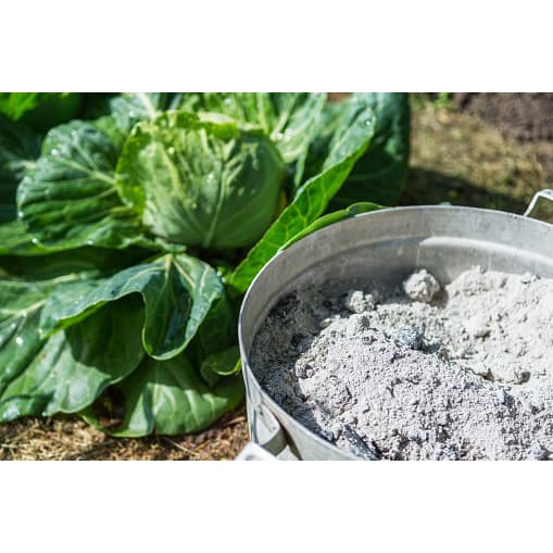 500g Tro Bếp (rơm ,rạ sạch) bón đất trồng rau, cây cảnh | Shopee Việt Nam