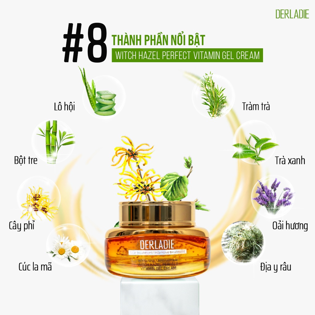 Mô tả Kem dưỡng Derladie Witch Hazel Perfect Vitamin Gel Cream ngừa mụn, giảm thâm, làm đầy sẹo rỗ 55ml - 3