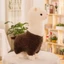 DARON Alpaca Sang Trọng Đồ Chơi 28cm Alpaca Trẻ Em Cotton Sang Trọng Gối Sinh Nhật Đồ Chơi Nhồi Bông