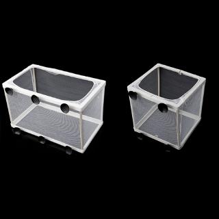 Lưới nhỏ dùng nuôi cá con gắn bể cá tiện dụng