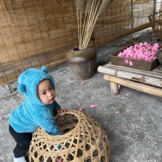 haiyen2588