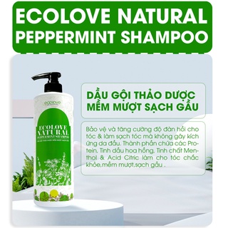Dầu gội thảo dược mềm mượt sạch gàu Ecolove Natural Peppermint Shampoo 1000ml