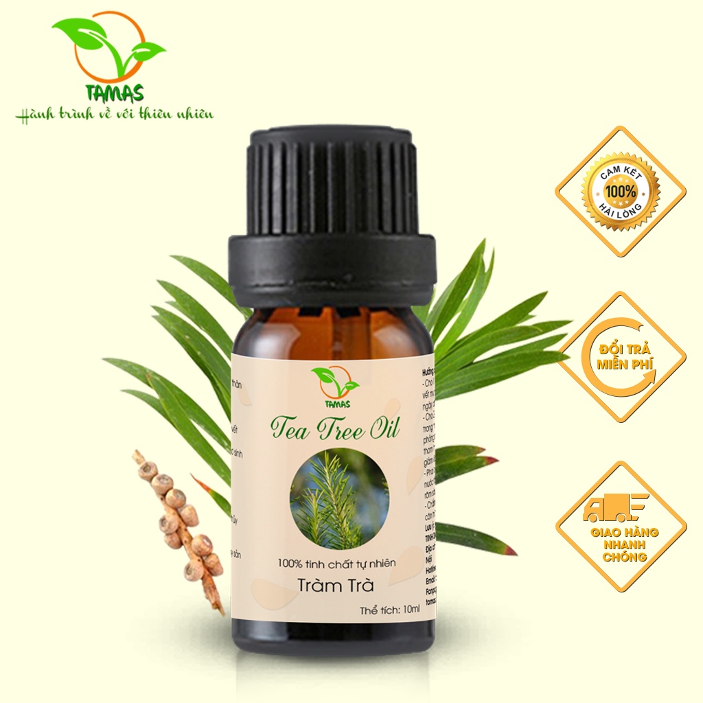 Ảnh Tinh dầu Tràm Trà nguyên chất chai 10ml/30ml TAMAS, Tinh dầu thơm phòng, khử mùi, thanh lọc không khí, làm đẹp da,... 3