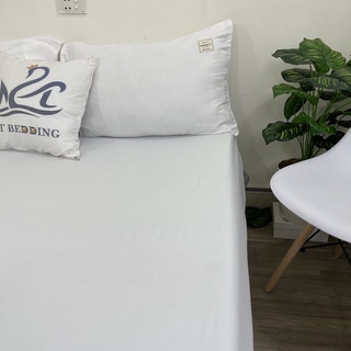 Set ga gối Cotton Tici M2T bedding màu trắng drap ga giường chuyên dùng cho khách sạn, homestay, nhà nghỉ