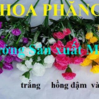 Chùm Hoa Cẩm Chướng Giả 10 Nhánh 40cm Nhiều Màu Hoa Lụa Trang Trí Nhà Cửa Bàn Thờ Xưởng Nam Định