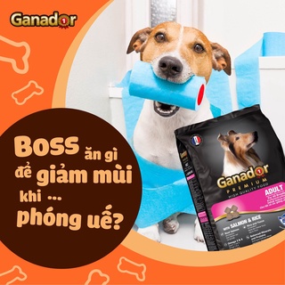 Thức Ăn Hạt Cho Chó Ganador Fibs Gói 400g Cho Chó Con Và Trưởng Thành Đủ Vị