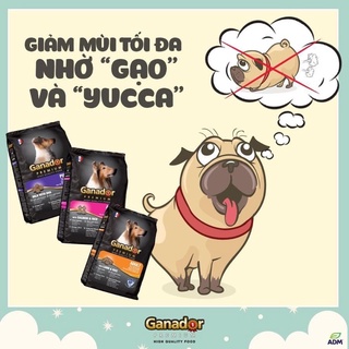 Hạt Cho Chó Ganador Premium 3kg Nhiều Dinh Dưỡng Phát Triển Trí Não Bảo Vệ Sức Khỏe