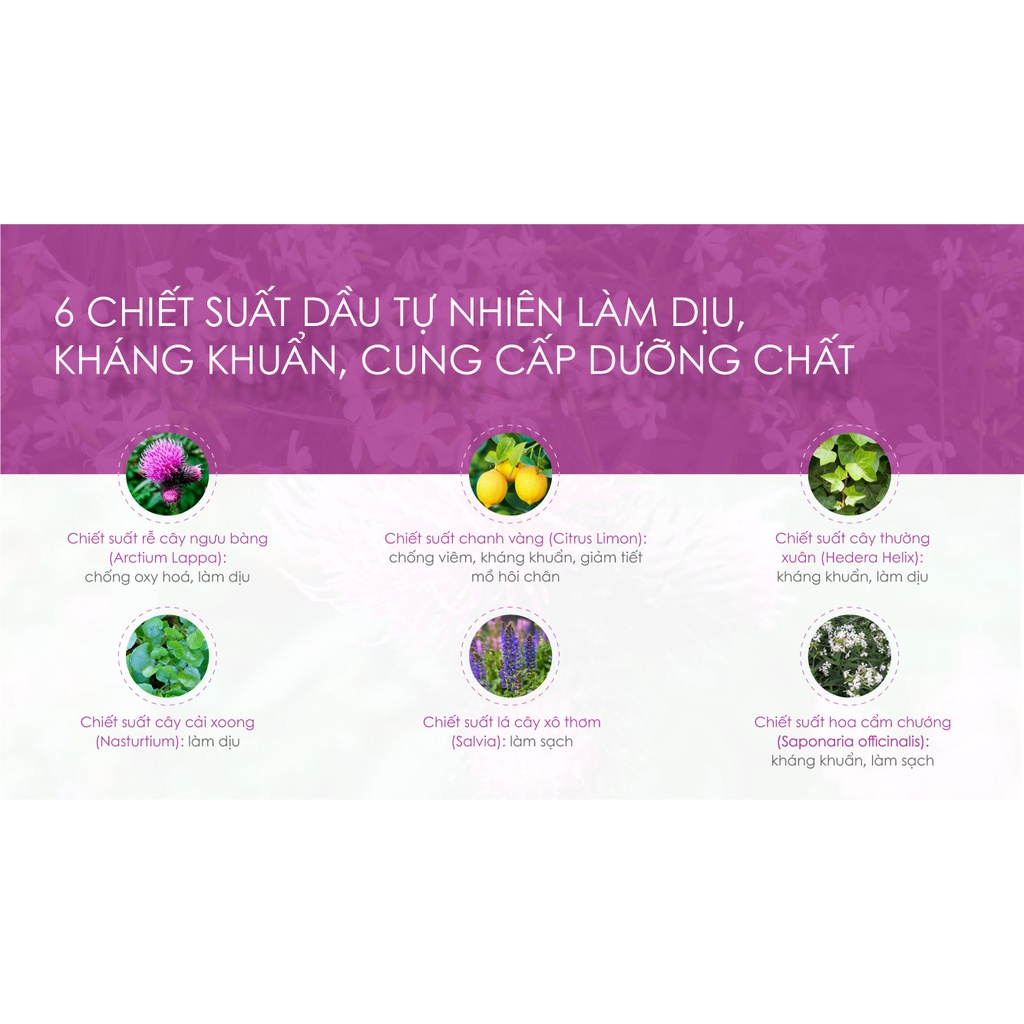 Túi ủ tẩy tế bào chết da chân thư giãn dịu nhẹ, dưỡng ẩm PERORIN Nhật Bản hương Lavender hộp 1 túi