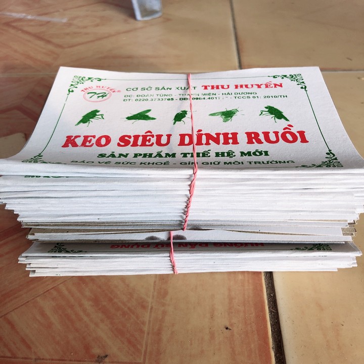 Combo 100 miếng dính ruồi nhiều keo
