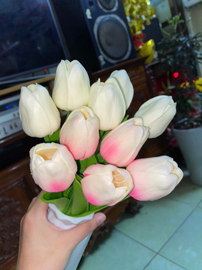 Ảnh đánh giá