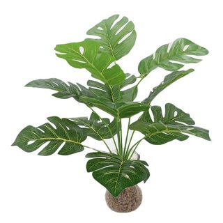 Cây Lá Rùa / Lá trầu bà rách / Monstera Trang Trí 30cm 55cm 76cm - Cây giả decor