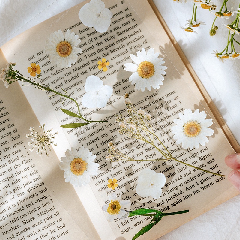 Sticker hoa khô làm từ hoa thật vintage dán sổ retro mẫu hoa lá HD113-K61 DIY Crafts, Scrapbook, Journal, Thủ công