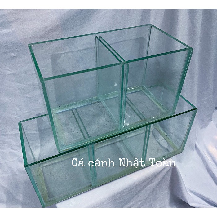 HỒ KÍNH NUÔI CÁ BETTA 1 ĐỀN 3 NGĂN KÍNH DÀY 3MM