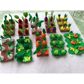 Vỉ rau củ quả bằng nỉ