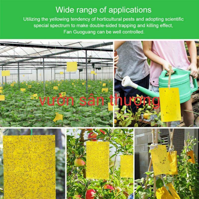 [Kèm Dây Treo] 1 Miếng Bẫy Dính Ru.ồi Vàng 15x20cm, Và Một số Loài Cô.n Trù.ng Gây H.ại Bằng Biện Pháp Cơ Học, A.n Toàn