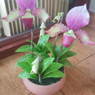GAN CÁNH LAN HÀI