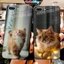 Ốp Lưng iPhone Mèo Cute Phô Mai Que Mặt Kính Nano Dẻo