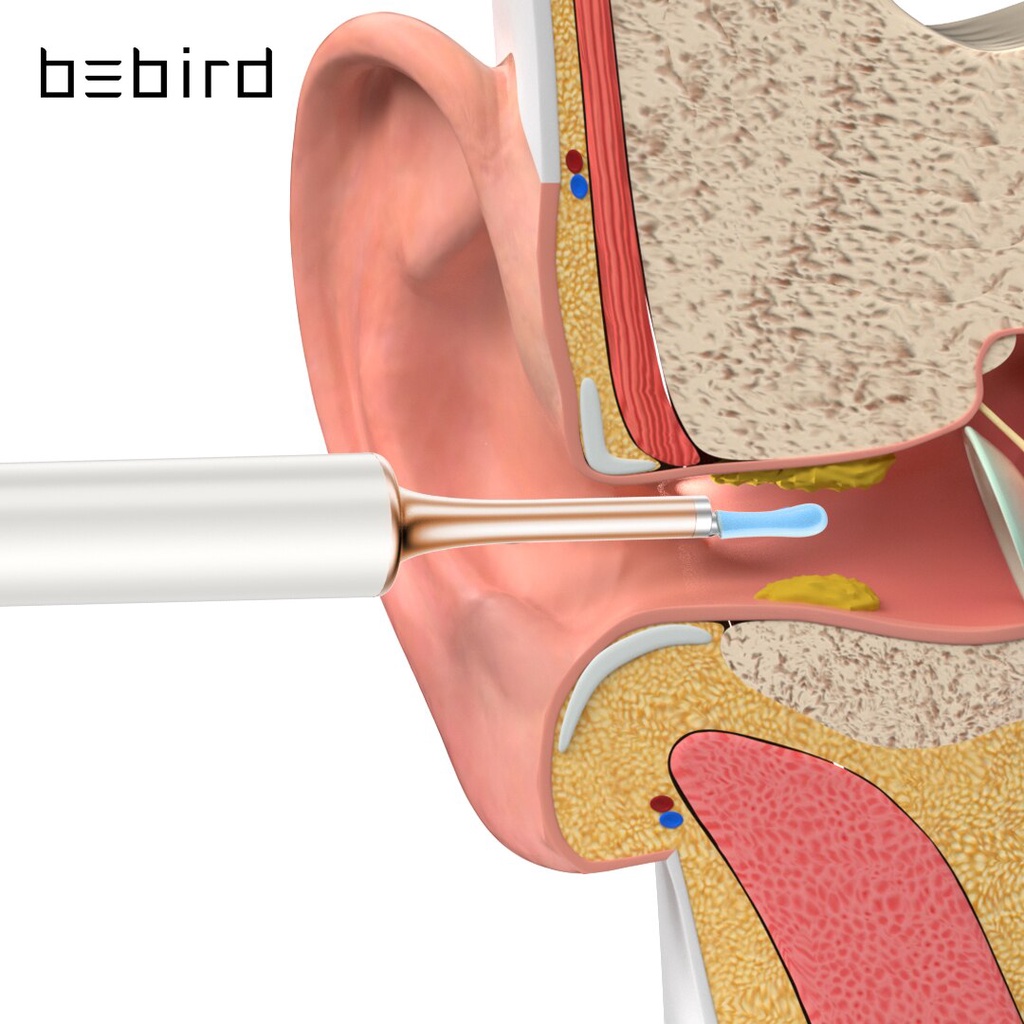 Bebird T15 Visual Ear Cleaner Chăm sóc sức khỏe Minifit 2in1 Acne Wax Removal Tool HD1080P Otscope IP67 Nội soi chống nước