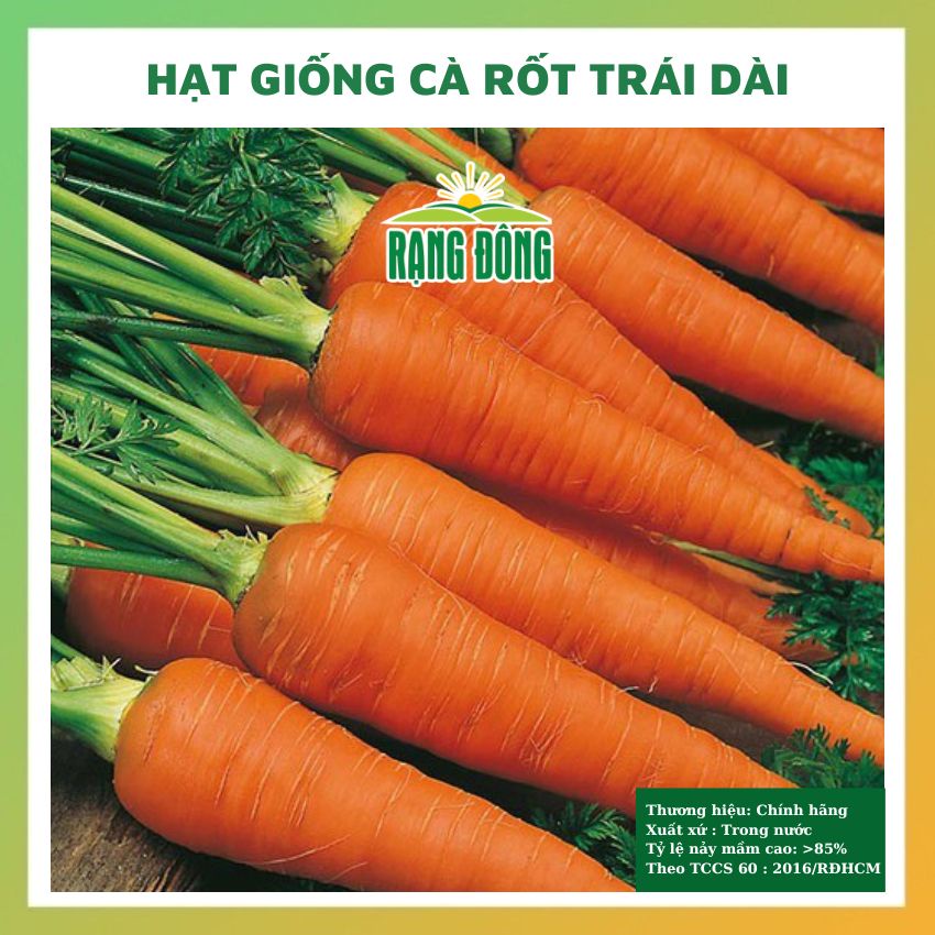 Hạt giống cà rốt trái dài rau củ quả trồng chậu chịu nhiệt 4 mùa tỉ lệ ...