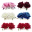 Lược chải tóc hoa cô dâu EDIWANAY Ladies Handmade Phụ kiện đám cưới thanh lịch