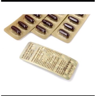 Một hộp VIÊN ĐẠM TỔNG HỢP: HỒNG SÂM,NHUNG HƯƠU, NẤM LINH CHI, MẬT ONG HỘP 60 viên