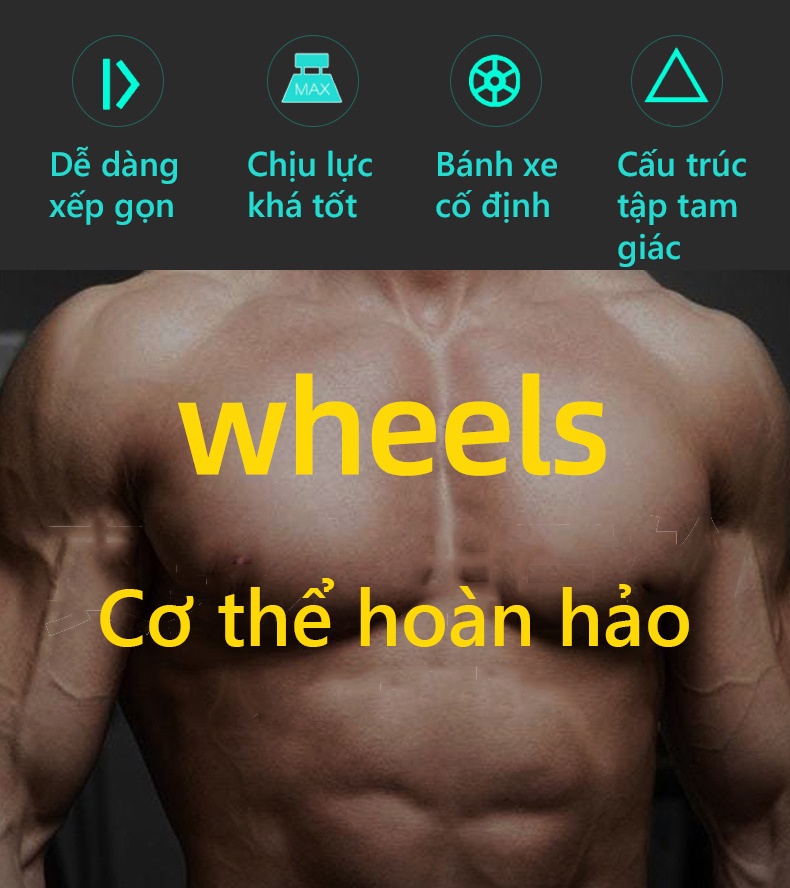 Mô tả Con Lăn Tập Cơ Bụng Bảo Hành 12 Tháng Bánh Lăn Tập Cơ Bụng Chắc Chắn Chống Trượt Tải Trọng 150kg Cleacco CLX BORO SPORT - 3