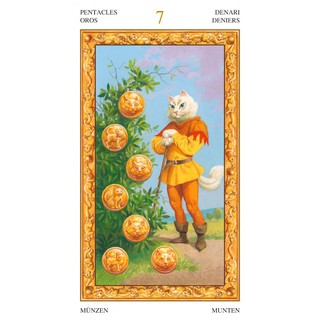 Bộ Bài Tarot of White Cats (Mystic House Tarot Shop) - Bài Gốc Authentic Chính Hãng 100%