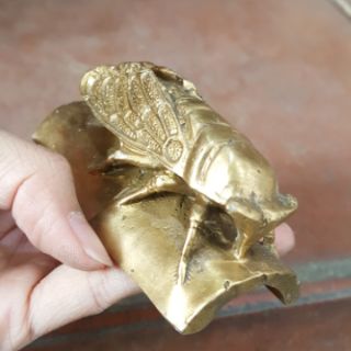 Ve Sầu Hộ Mệnh Trường Tồn Vật Phẩm Phong Thuỷ