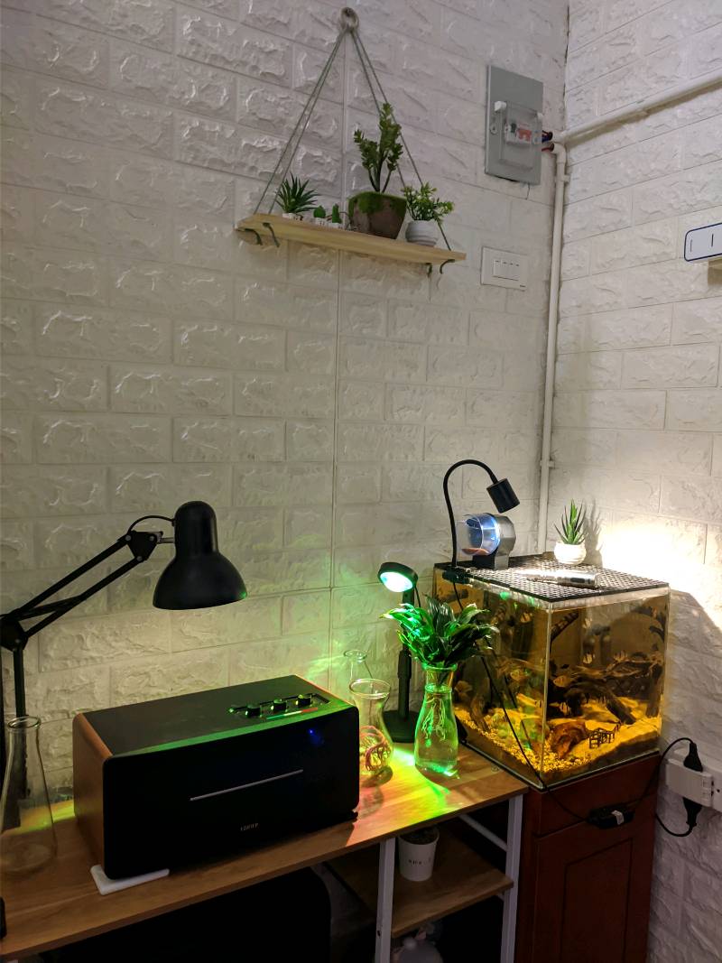 Loa EDIFIER D12 để bàn