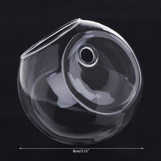 Bình Thủy Tinh HL Treo Tường Thủy Canh Terrarium Bể Cá Chậu Hoa