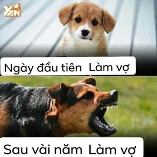 huynhhieu4859