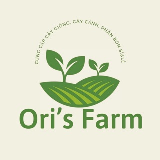 oriannie