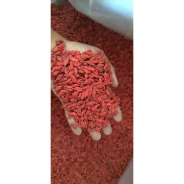 combo 0,5kg sen huế + 200gram kỷ tử | Shopee Việt Nam