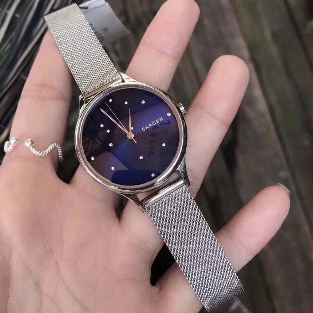 Skagen skw2391 best sale