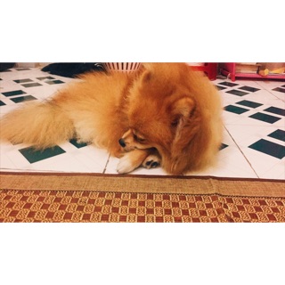 vivi101010