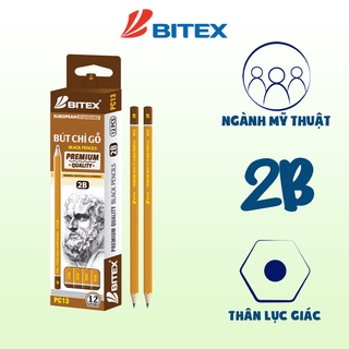 Hộp 12 Bút chì 2B/4B/6B/8B Bitex mỹ thuật chuyên dụng
