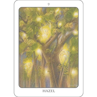 Bộ Bài Tree Angel Oracle (Mystic House Tarot Shop) - Bài Gốc Authentic Chính Hãng 100%