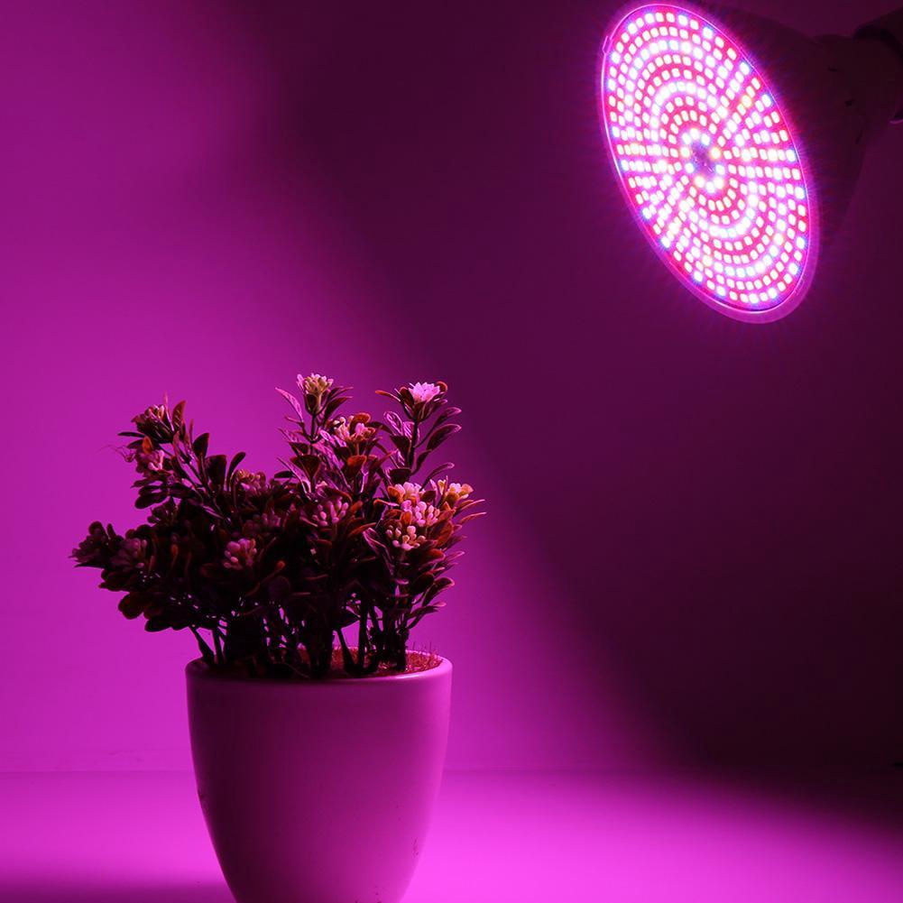 Đèn LED trồng cây 290 bóng toàn quang phổ chuôi E27 độ sáng 1500LM tuổi ...