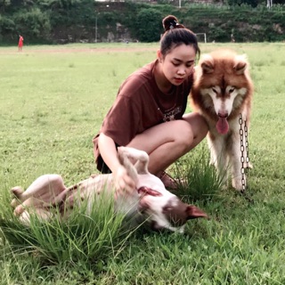 camphuongthao
