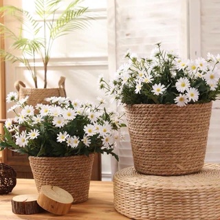 <Chùm 30 bông >Chùm hoa cúc my nhập khẩu lá mốc siêu xinh loại 1- Hoa giả trang trí