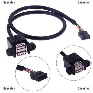 Dây cáp mở rộng chuyển đổi đầu bo mạch chủ 9 chân sang 2 cổng cắm USB 2.0