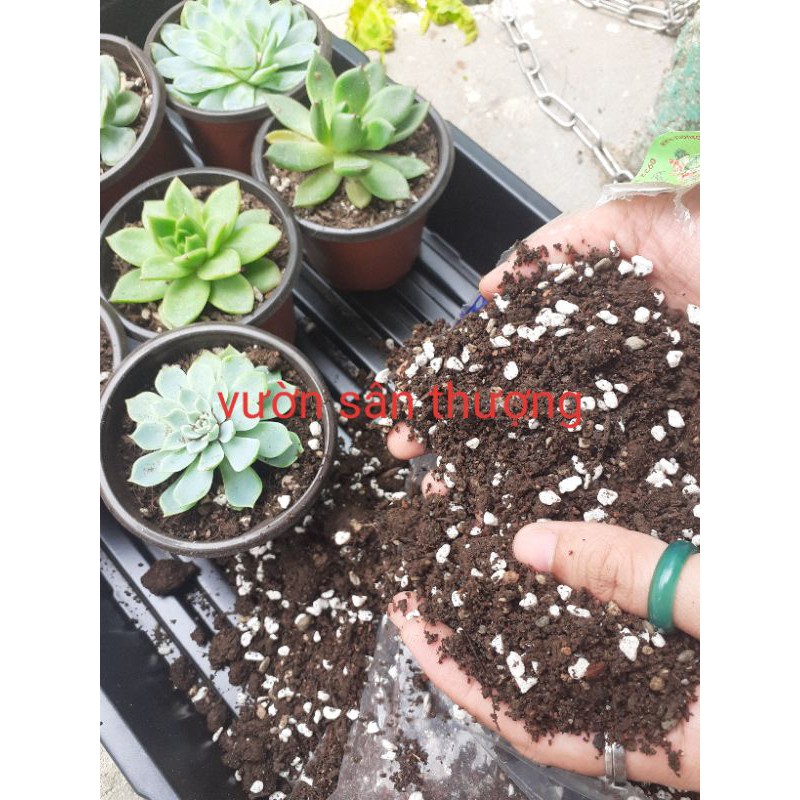 Đất Trồng Sen Đá, Xương Rông Nguyên Liệu Cao Cấp Tự Trộn Gói 200g