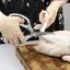Kéo làm bếp đa năng SK5 - Siêu bền, siêu sắc bén